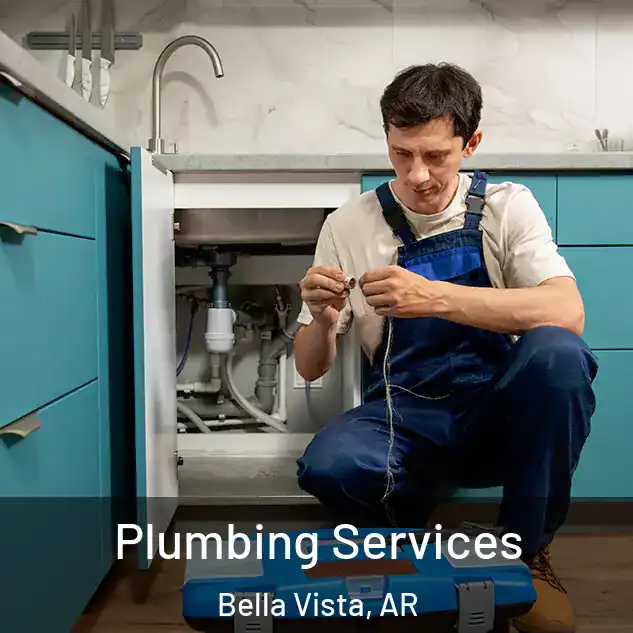  Plumbing Services Bella Vista, AR