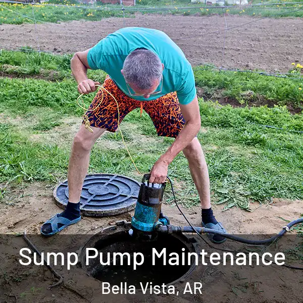  Sump Pump Maintenance Bella Vista, AR