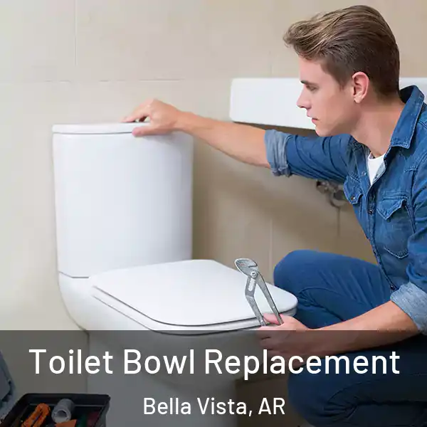  Toilet Bowl Replacement Bella Vista, AR