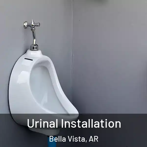  Urinal Installation Bella Vista, AR