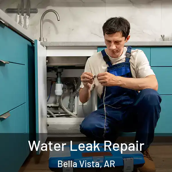  Water Leak Repair Bella Vista, AR